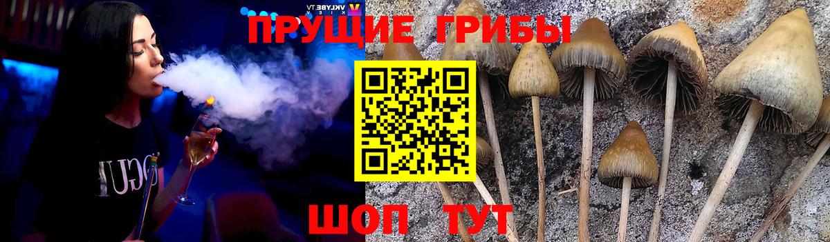 Южноуральск  Псилоцибиновые грибы прущие грибы  Галлюциногенные грибы GOLDEN TEACHER  Вход с VPN 